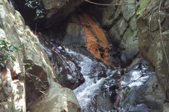 Dharagiri Falls 3