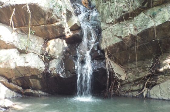 Dharagiri Falls 4
