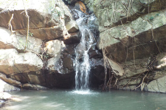Dharagiri Falls (5)