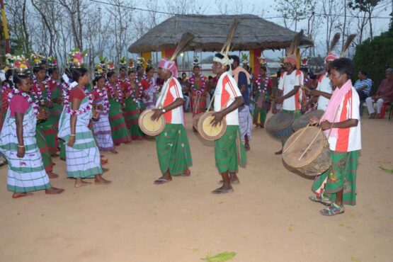 Santali Traditional dance 6